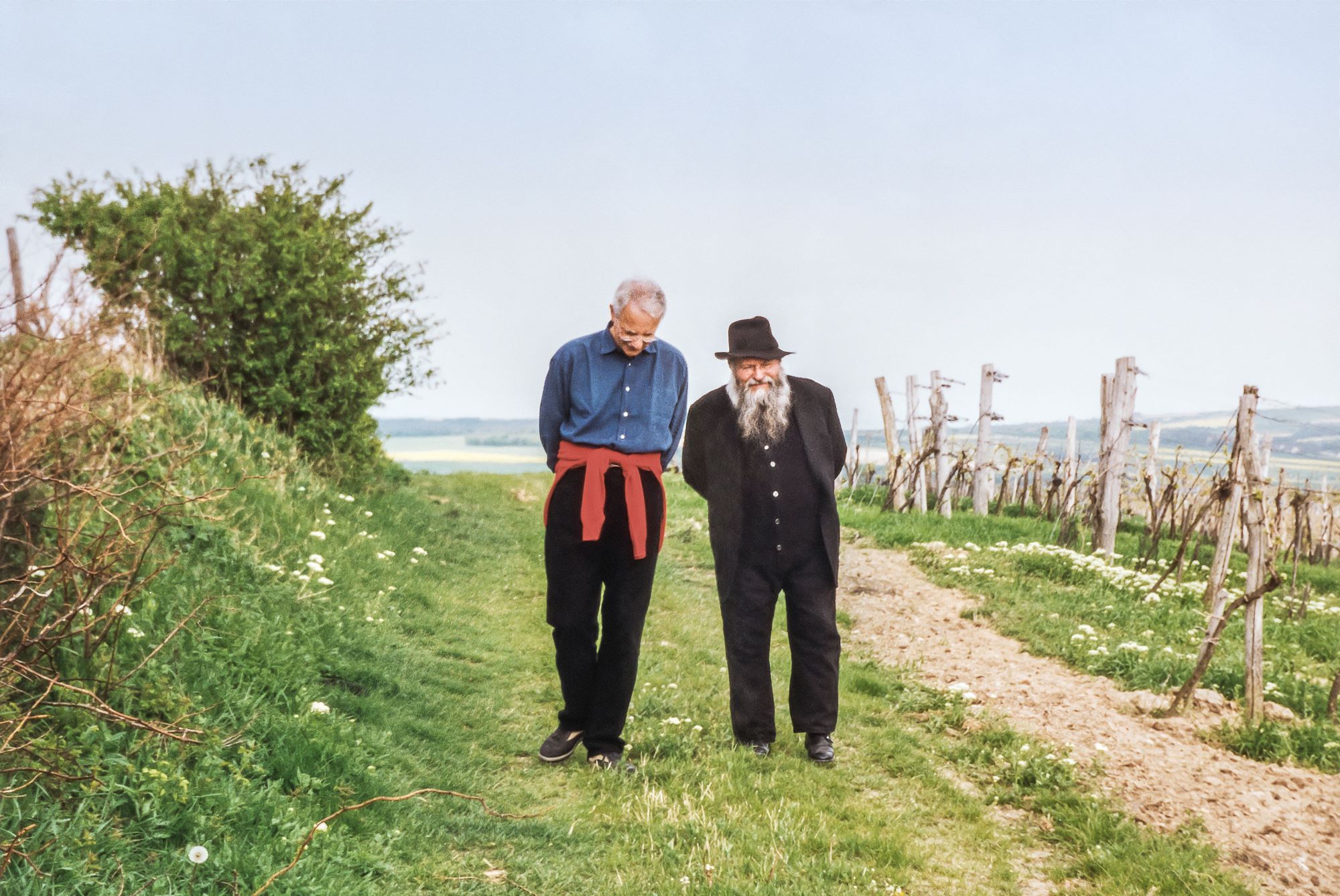 Karlheinz Essl und Hermann Nitsch in den Weinbergen, Foto: Agnes Essl